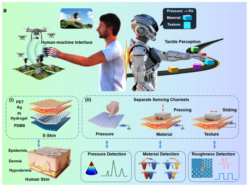 Electronic Skin; Intelligent Hydrogel