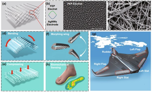Energy Harvesting; Self-Powered Systems