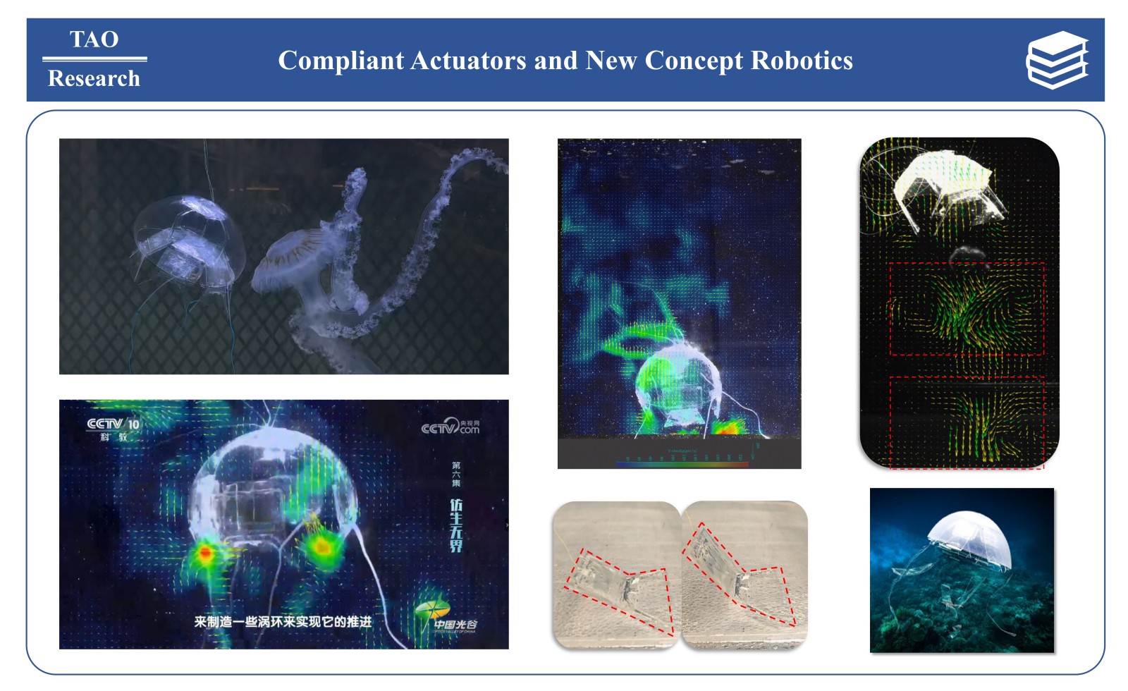 Compliant Actuators and New Concept Robotics